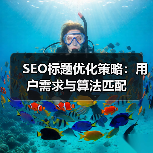 SEO标题优化策略：用户需求与算法匹配（图2）