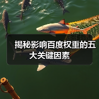 揭秘影响百度权重的五大关键因素（图2）