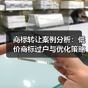 商标转让案例分析：低价商标过户与优化策略（图3）