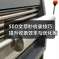 SEO文章秒收录技巧：提升收录效率与优化策略（图2）