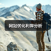 网站优化利弊分析（图2）