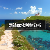 网站优化利弊分析（图4）