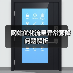 网站优化流量异常骤降问题解析（图4）