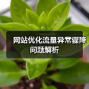 网站优化流量异常骤降问题解析（图3）