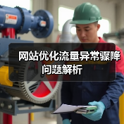 网站优化流量异常骤降问题解析（图2）