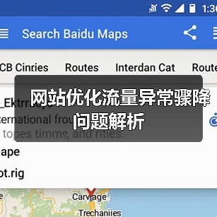 网站优化流量异常骤降问题解析（图1）