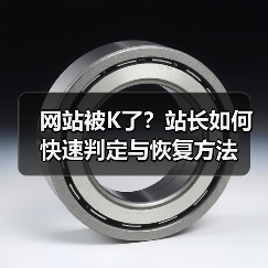 网站被K了?站长如何快速判定与恢复方法(图3) 网站被K了?站长如何快速判定与恢复方法(图3)