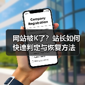 网站被K了?站长如何快速判定与恢复方法(图2) 网站被K了?站长如何快速判定与恢复方法(图2)