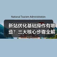 新站优化基础操作有哪些？三大核心步骤全解析（图4）