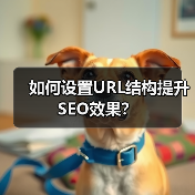 如何设置URL结构提升SEO效果？（图3）