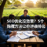 SEO优化没效果?5个隐藏方法让你逆袭排名(图3) SEO优化没效果?5个隐藏方法让你逆袭排名(图3)