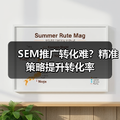 SEM推广转化难？精准策略提升转化率（图2）