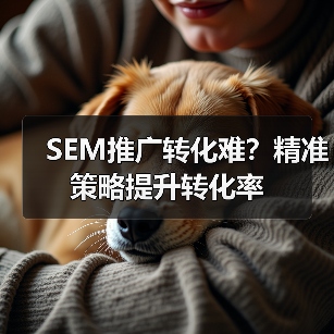 SEM推广转化难？精准策略提升转化率（图4）