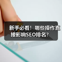 新手必看！哪些操作直接影响SEO排名？（图3）