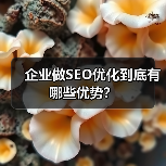 企业做SEO优化到底有哪些优势？（图4）