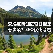 交换友情链接有哪些注意事项?SEO优化必看!(图4) 交换友情链接有哪些注意事项?SEO优化必看!(图4)