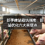 新手建站避坑指南:新站优化六大关键点(图3) 新手建站避坑指南:新站优化六大关键点(图3)