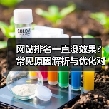 网站排名一直没效果？常见原因解析与优化对策（图3）