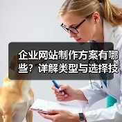 企业网站制作方案有哪些?详解类型与选择技巧(图2) 企业网站制作方案有哪些?详解类型与选择技巧(图2)