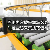 原创内容被采集怎么办？这些防采集技巧值得收藏（图4）