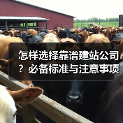 怎样选择靠谱建站公司？必备标准与注意事项（图1）