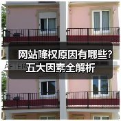网站降权原因有哪些?五大因素全解析(图3) 网站降权原因有哪些?五大因素全解析(图3)