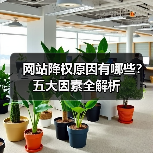 网站降权原因有哪些?五大因素全解析(图1) 网站降权原因有哪些?五大因素全解析(图1)