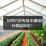 如何巧妙布局关键词提升网站排名?(图2) 如何巧妙布局关键词提升网站排名?(图2)