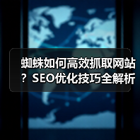蜘蛛如何高效抓取网站？SEO优化技巧全解析（图2）