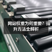 网站权重为何重要？提升方法全解析（图3）