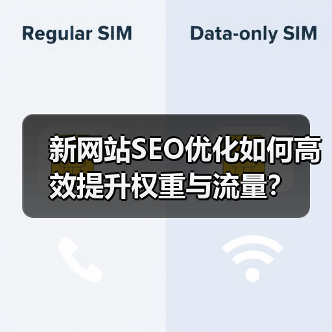新网站SEO优化如何高效提升权重与流量?(图2) 新网站SEO优化如何高效提升权重与流量?(图2)