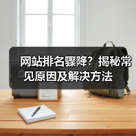 网站排名骤降？揭秘常见原因及解决方法（图2）