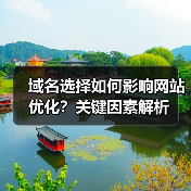 域名选择如何影响网站优化？关键因素解析（图4）