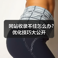 网站收录不佳怎么办？优化技巧大公开（图3）