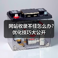网站收录不佳怎么办？优化技巧大公开（图4）