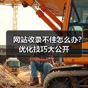 网站收录不佳怎么办？优化技巧大公开（图2）