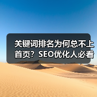 关键词排名为何总不上首页？SEO优化人必看五大常见因素分析（图1）