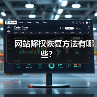 网站降权恢复方法有哪些？（图4）