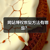 网站降权恢复方法有哪些？（图2）