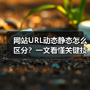 网站URL动态静态怎么区分？一文看懂关键技巧（图3）