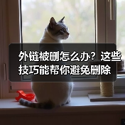 外链被删怎么办?这些技巧能帮你避免删除(图3) 外链被删怎么办?这些技巧能帮你避免删除(图3)