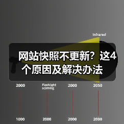 网站快照不更新？这4个原因及解决办法（图4）