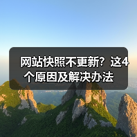 网站快照不更新？这4个原因及解决办法（图3）