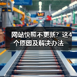 网站快照不更新？这4个原因及解决办法（图2）