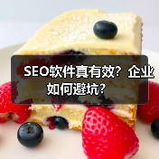 SEO软件真有效？企业如何避坑？（图3）