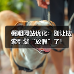 假期网站优化：别让搜索引擎“放假”了！（图4）
