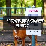 如何修改网站标题避免被降权?(图4) 如何修改网站标题避免被降权?(图4)