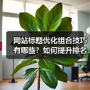 网站标题优化组合技巧有哪些？如何提升排名效果？（图3）