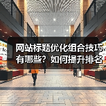 网站标题优化组合技巧有哪些？如何提升排名效果？（图2）