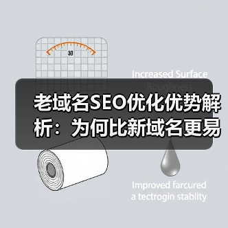 老域名SEO优化优势解析:为何比新域名更易排名?(图4) 老域名SEO优化优势解析:为何比新域名更易排名?(图4)